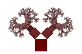 LES DEUX BRANCHES DE L’ARBRE…