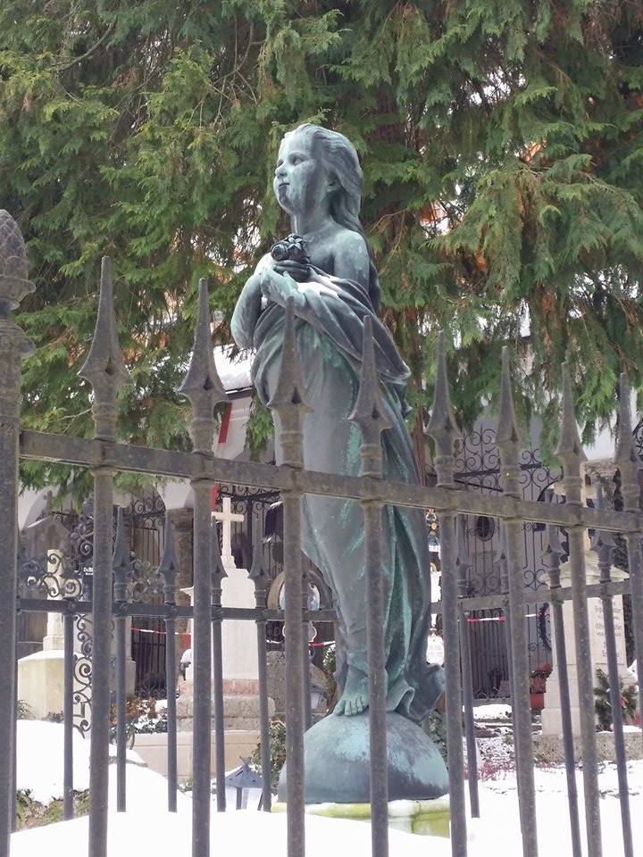 10965903_1536618526588889_11180888_n