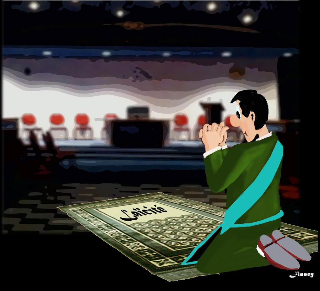 laicite -NXPowerLite-