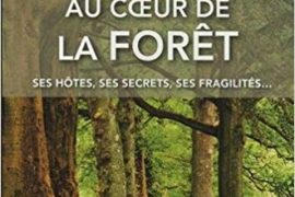 LA VIE AU CŒUR DE LA FORÊT… ses hôtes, ses secrets, ses fragilités…
