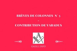 BRÈVES DE COLONNES  N° 5 – CONTRIBUTION DE VABADUS