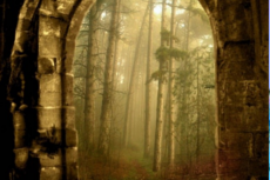 REFLEXION – L’ÉVOLUTION HUMAINE