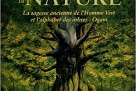 L’ORACLE CELTIQUE DE LA NATURE (COFFRET)