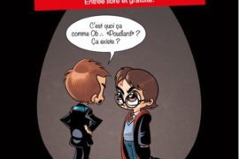 LES FRANCS-MAÇONS A L’ECOLE DU SORCIER