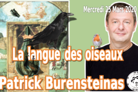 LES AMPHIS VDR – LA LANGUE DES OISEAUX