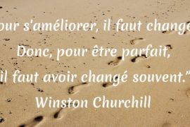 CELUI QUI PASSE SON TEMPS À TENTER DE S’AMÉLIORER N’A PAS LE TEMPS DE CRITIQUER LES AUTRES
