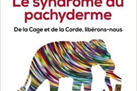 LE SYNDROME DU PACHIDERME