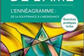 LES 9 PLAIES DE L’ÂME : L’Ennéagramme : de la souffrance à l’abondance