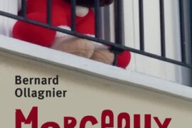 MORCEAUX D’UNE VIE CONFINÉE, Vers une Nouvelle harmonie fraternelle, républicaine et démocratique