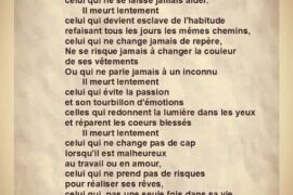 IL MEURT LENTEMENT – PABLO NERUDA