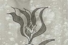 POURQUOI LES FRANCS-MAÇONS ONT TOUJOURS RAISON : dialogue avec ma concierge portugaise