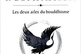 SAGESSE ET COMPASSION : Les deux ailes du bouddhisme
