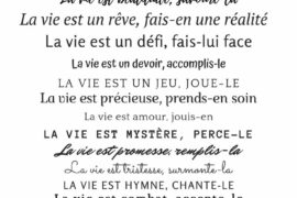 LA VIE EST UNE CHANCE…SAISIES LA !