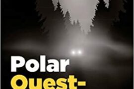 POLAR – USAGE DE FAUX