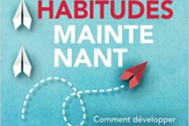 CHANGEZ VOS HABITUDES MAINTENANT – Comment développer votre auto discipline et ne plus repousser vos bonnes résolutions – Devenez votre meilleure version, pleine de volonté et de motivation