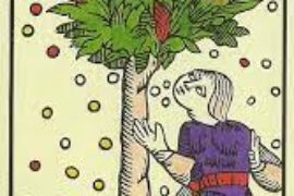 ICI LES ARCANES DE LA GNOSE…