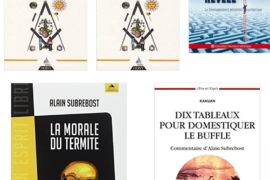 MES OUVRAGES – ALAIN SUBREBOST