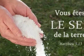 JE SUIS LE SEL DE LA TERRE…