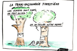 EN DESSIN – LA FRANC-MACONNERIE FORESTIERE