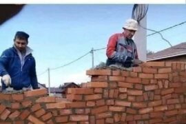 HUMOUR EN IMAGE – LES DIPLÔMÉS DE COURS A DISTANCE SONT :