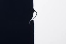 LE BLANC ET LE NOIR OU L’UNION DES CONTRAIRES | PENSEE DE RENE GUENON