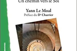 LA PSYCHOLOGIE DE JUNG : UN CHEMIN VERS LE SOI