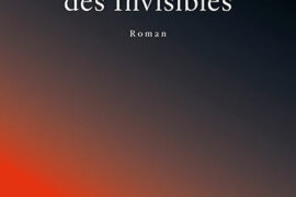 LE COMPLOT DES INVISIBLES