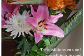 FIL INFOS LOGE N°9 – MAGAZINE MAÇONNIQUE NUMÉRIQUE FRANCO-ANGLO-HISPANIQUE