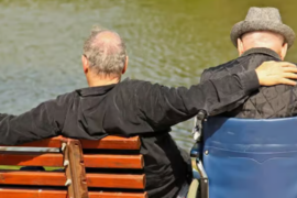 FRÈRES ( ET AMIS) SELON FERNANDO PESSOA