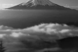 POESIE « THERAPEUTIQUE » OU SE CONNECTER AUX MOTS