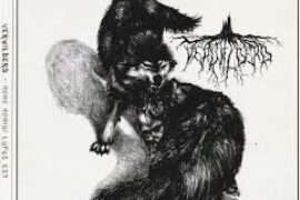 HOMO HOMINI LUPUS : L’HOMME EST UN LOUP POUR L’HOMME – QUE LE GADLU NOUS LIBÈRE