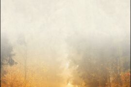 DU MOT À LA PAROLE : LE CHEMIN DU RITE FRANÇAIS, UNE RÉFLEXION INITIATIQUE ET HUMANISTE