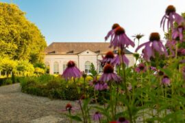 AU CHÂTEAU DE SENEFFE, LA FRANC-MAÇONNERIE DU XVIIIᵉ SIÈCLE SORT DE L’OMBRE